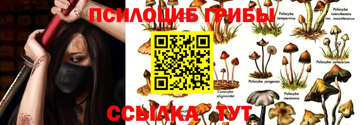 Сальск  купить   Псилоцибиновые грибы Psilocybe  Вход с VPN  Галлюциногенные грибы мицелий 